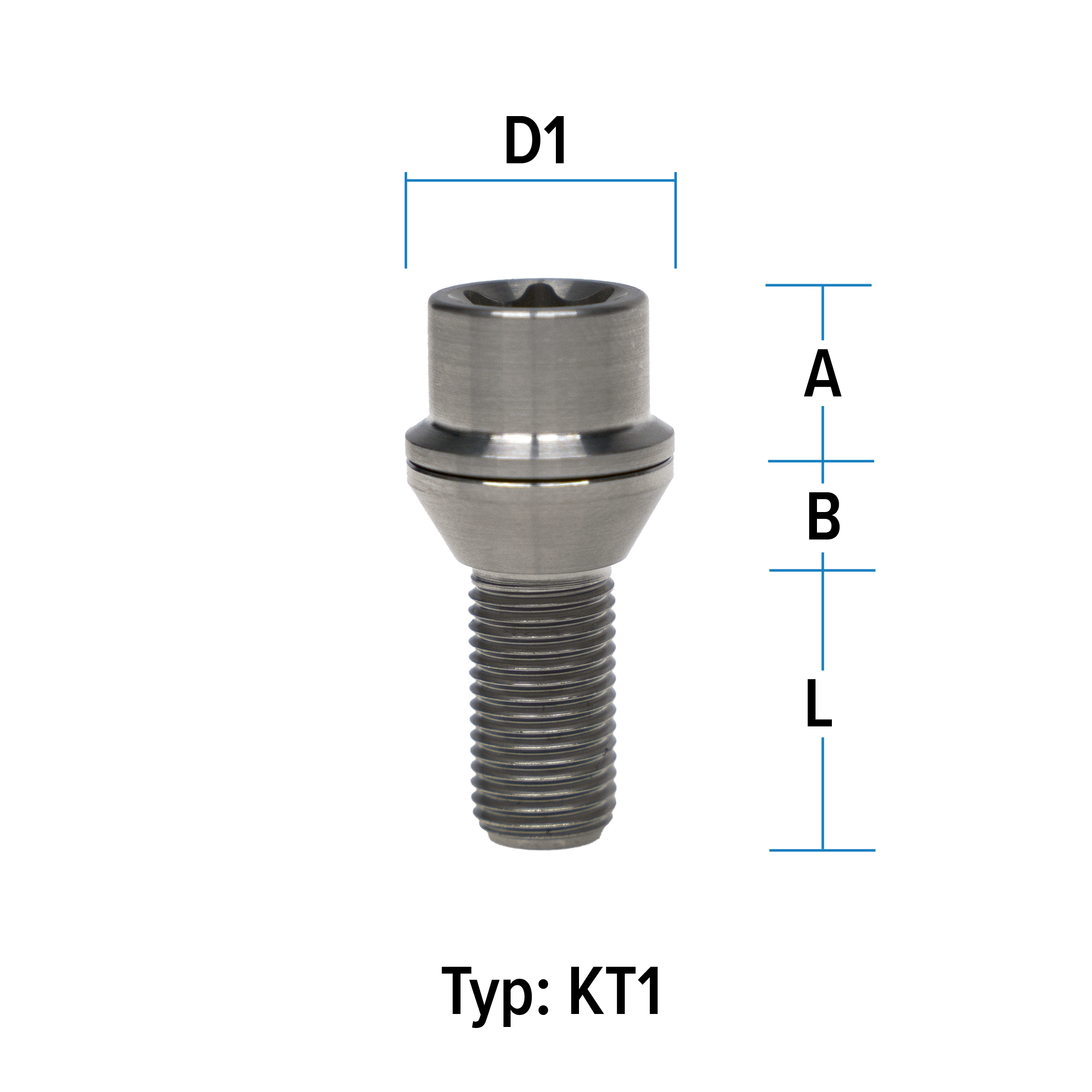 Radschraube M14X1,25 Kegel 60° Typ KT1 - L: 28 - 43 mm - 10 Stück Titan